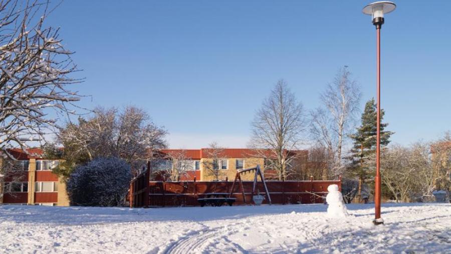 Vinterbild 5 februari 2020